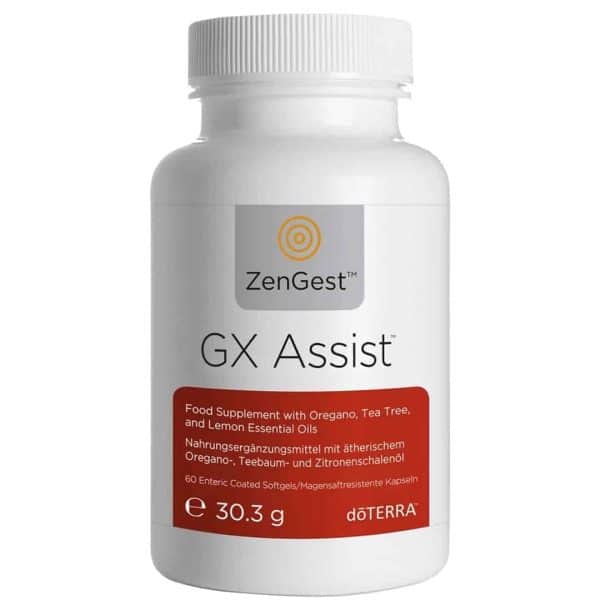 gx-assist