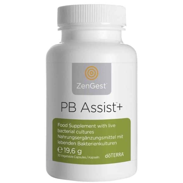 pb-assist+